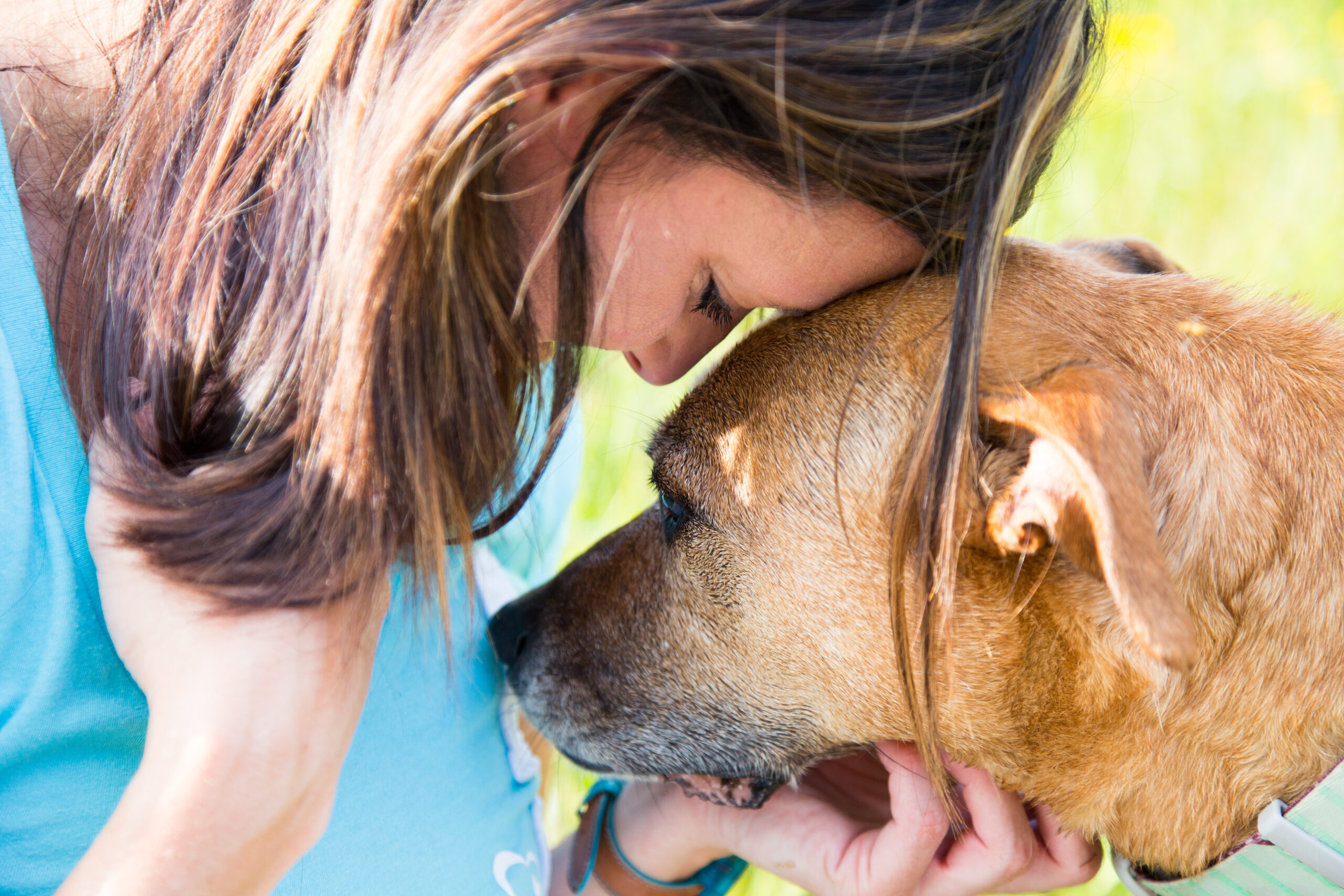 Senior dog consoles a young woman as they share a quiet moment of understanding