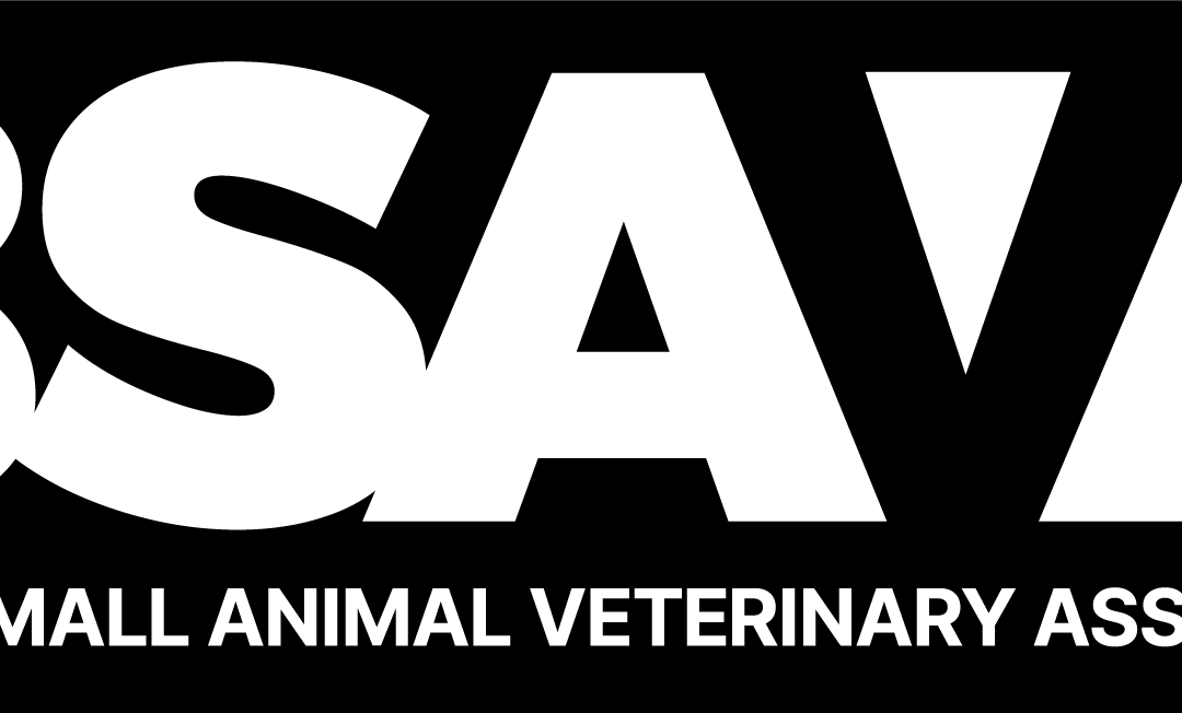 BSAVA supports 2nd series of Links Group Training!