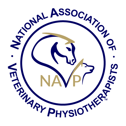 NAVP Logo A 500 500 Opt 72 Webp-01-01