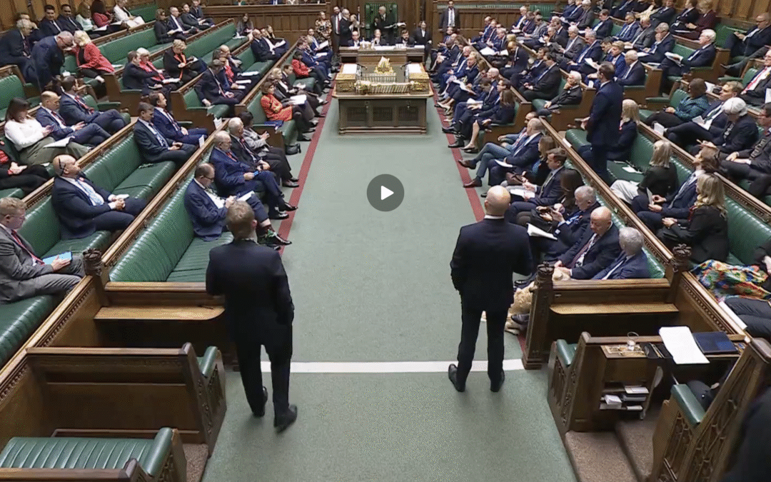 ‘The link’: animal and child sexual abuse raised in the House of Commons