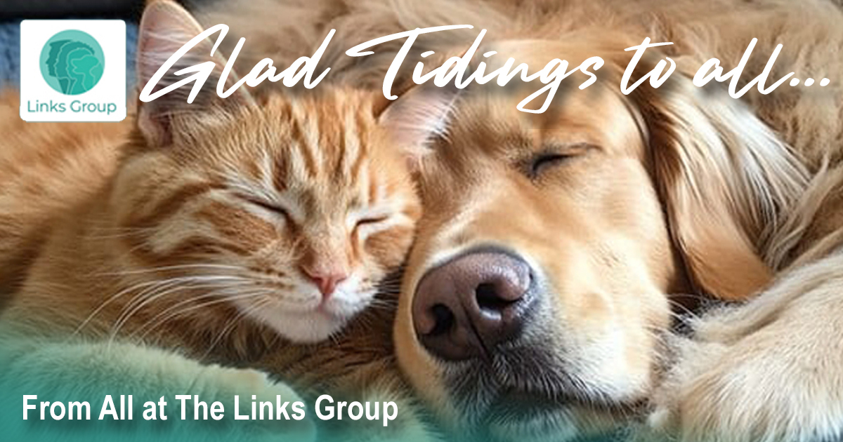 800x1080 The Links Group Cat & Dog Glad Tidings