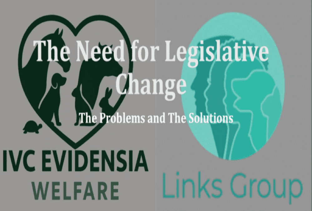 Progress on legislative change for Animal Sexual Abuse