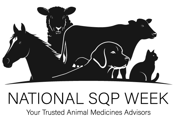 SQP week logo